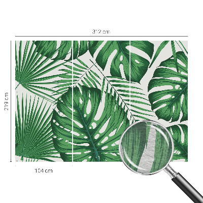 Fototapetas pagal matmenis Tropikų blyškumas