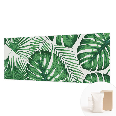 Fototapetas pagal matmenis Tropikų blyškumas