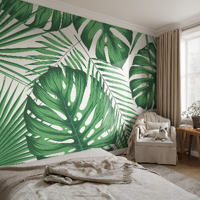 Fototapetas pagal matmenis Tropikų blyškumas