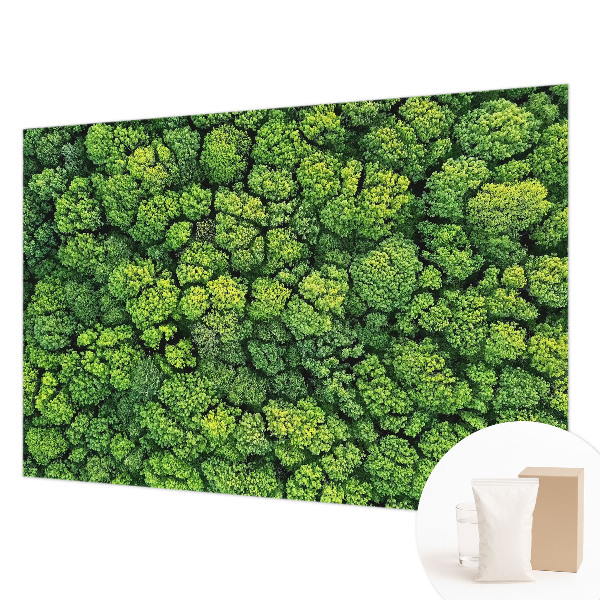 Aukštos kokybės fototapetas Skovpanorama