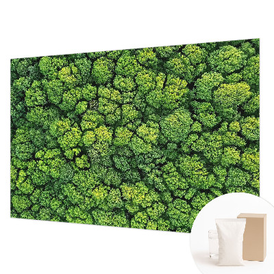 Aukštos kokybės fototapetas Skovpanorama