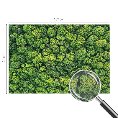 Aukštos kokybės fototapetas su miško panorama