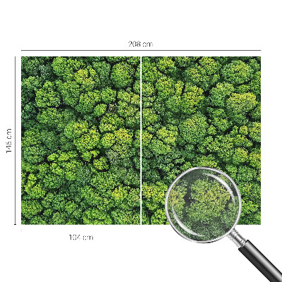 Aukštos kokybės fototapetas Skovpanorama