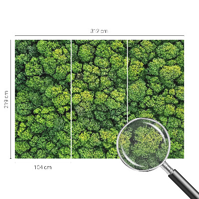 Aukštos kokybės fototapetas su miško panorama