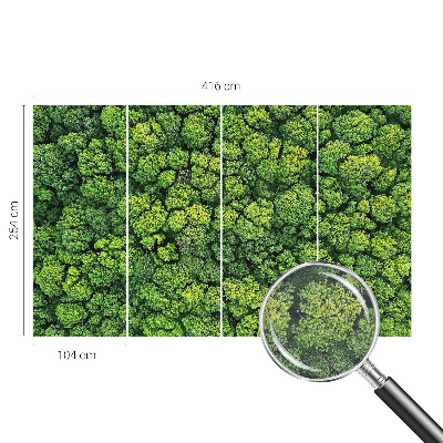 Aukštos kokybės fototapetas Skovpanorama