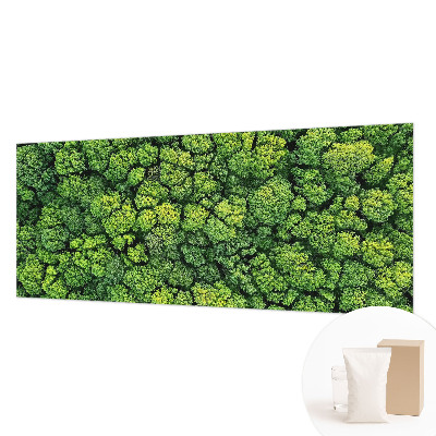 Aukštos kokybės fototapetas Skovpanorama