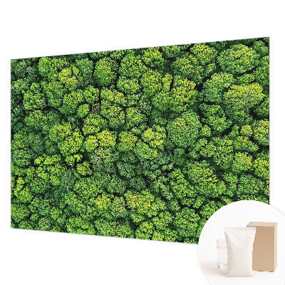 Aukštos kokybės fototapetas Skovpanorama