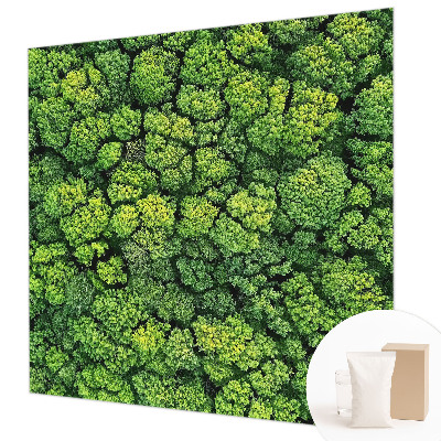 Aukštos kokybės fototapetas Skovpanorama