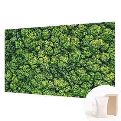 Aukštos kokybės fototapetas Skovpanorama