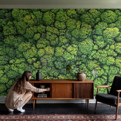 Aukštos kokybės fototapetas Skovpanorama