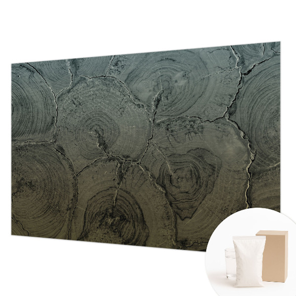 Modernus fototapetas Træringe