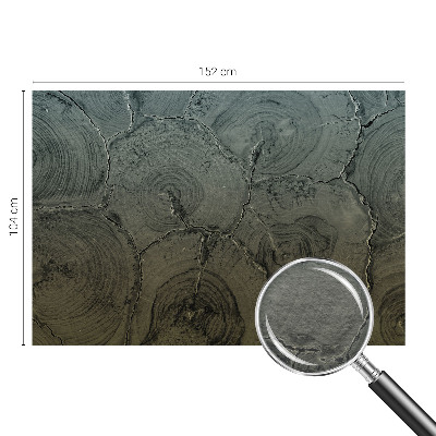 Modernus fototapetas Træringe