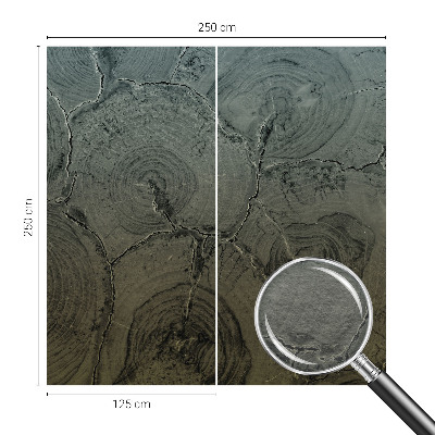 Modernus fototapetas Træringe