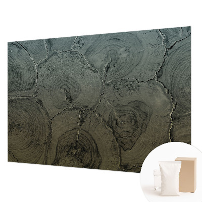 Modernus fototapetas Træringe