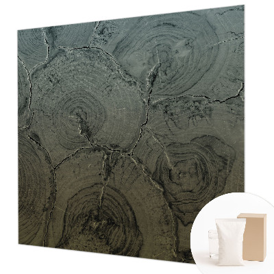 Modernus fototapetas Træringe