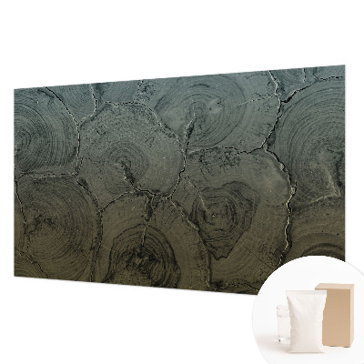 Modernus fototapetas Træringe