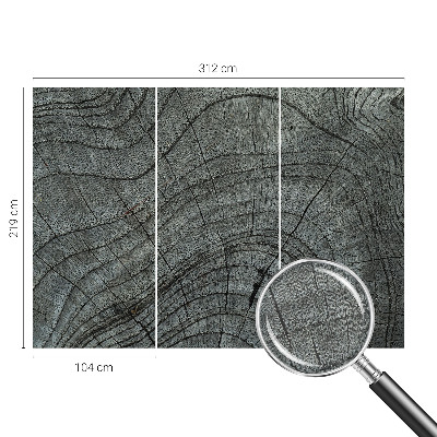 Fototapetas miegamajam Kornmønster