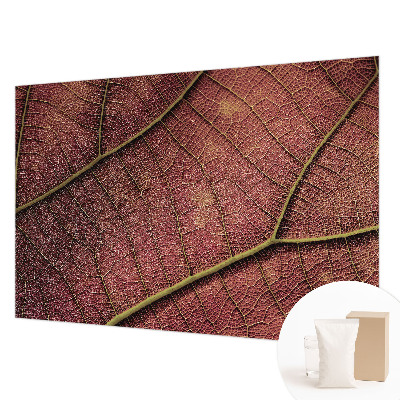 Tapetas Tekstūros peilis