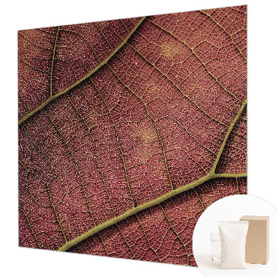 Tapetas Tekstūros peilis