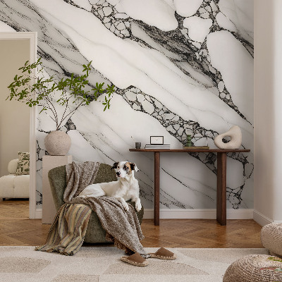 Fototapetas pagal matmenis Stenmønster