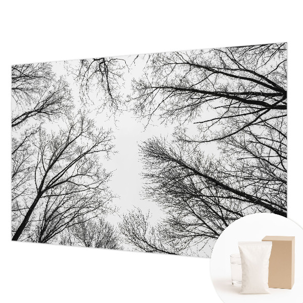 Fototapetas Plika žalia