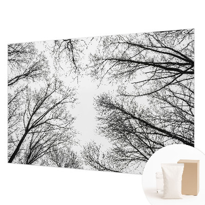 Fototapetas Plika žalia