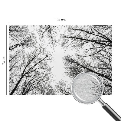 Fototapetas Plika žalia