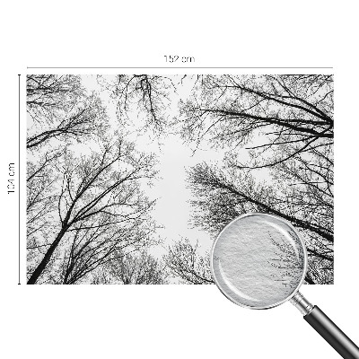 Fototapetas su plika žalia spalva