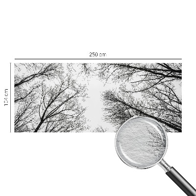 Fototapetas Plika žalia