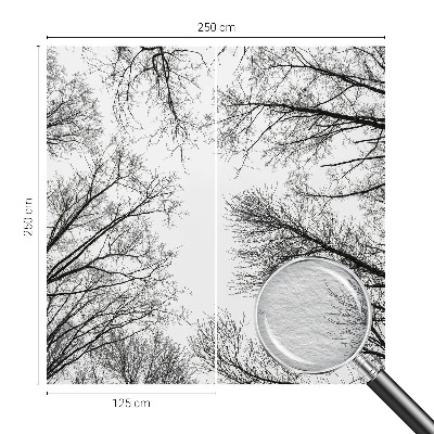 Fototapetas Plika žalia