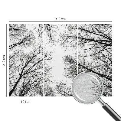 Fototapetas su plika žalia spalva