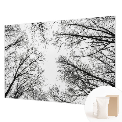 Fototapetas Plika žalia