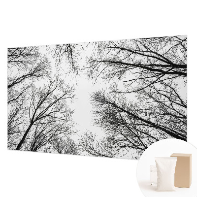 Fototapetas Plika žalia