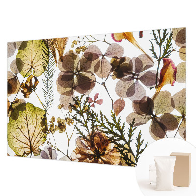 Fototapetas svetainei Natūralus surinkimas