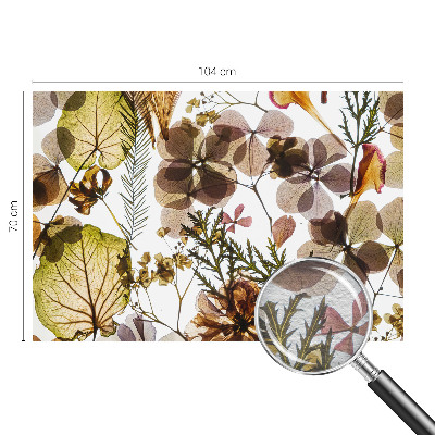 Fototapetas svetainei Natūralus surinkimas