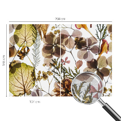 Fototapetas svetainei Natūralus surinkimas