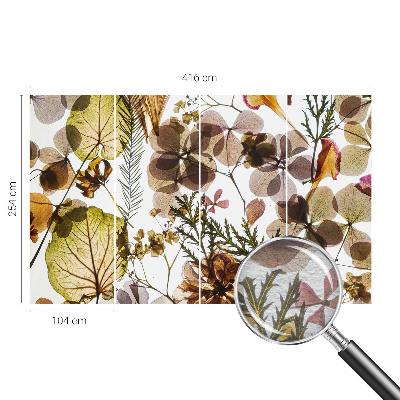 Fototapetas svetainei Natūralus surinkimas