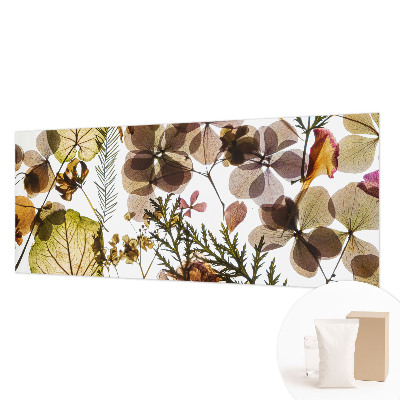 Fototapetas svetainei Natūralus surinkimas