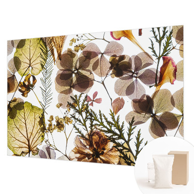 Fototapetas svetainei Natūralus surinkimas