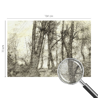 Plaunamas flizelininis fototapetas Skovmelankoli