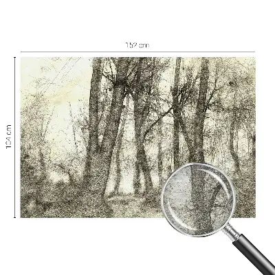 Plaunamas flizelininis fototapetas su raštu „Skovmelankoli“