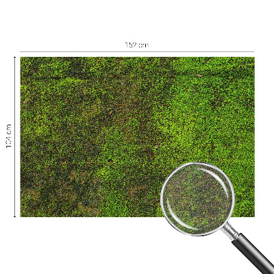 Fototapetas svetainei Grønt tæppe