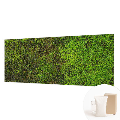 Fototapetas svetainei Grønt tæppe