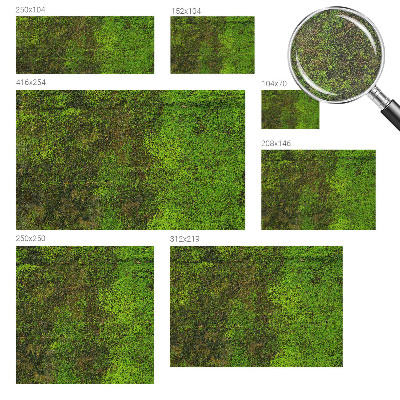 Fototapetas svetainei Grønt tæppe