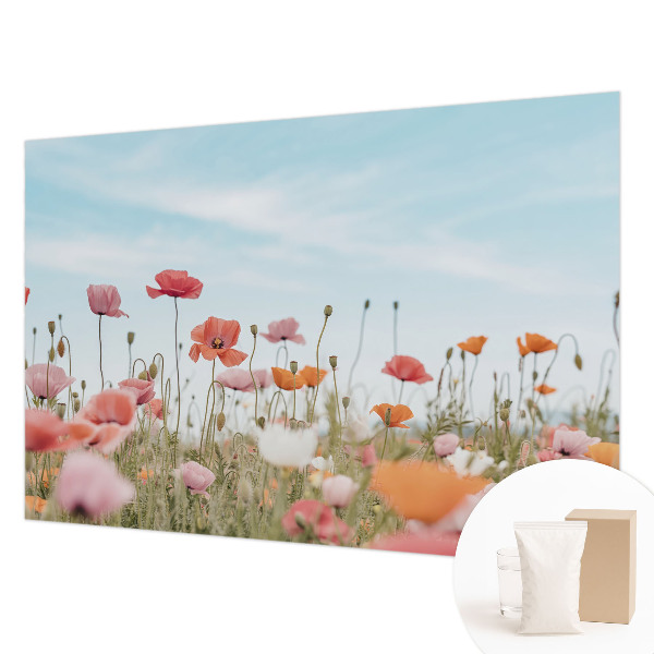 Sienų danga fototapetas Valmueblster