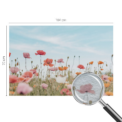 Sienų danga fototapetas su Valmueblster motyvu