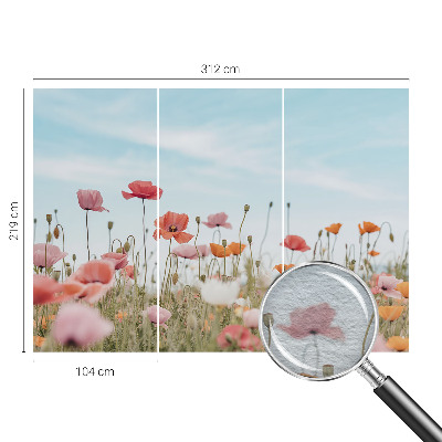 Sienų danga fototapetas su Valmueblster motyvu