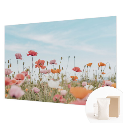 Sienų danga fototapetas Valmueblster