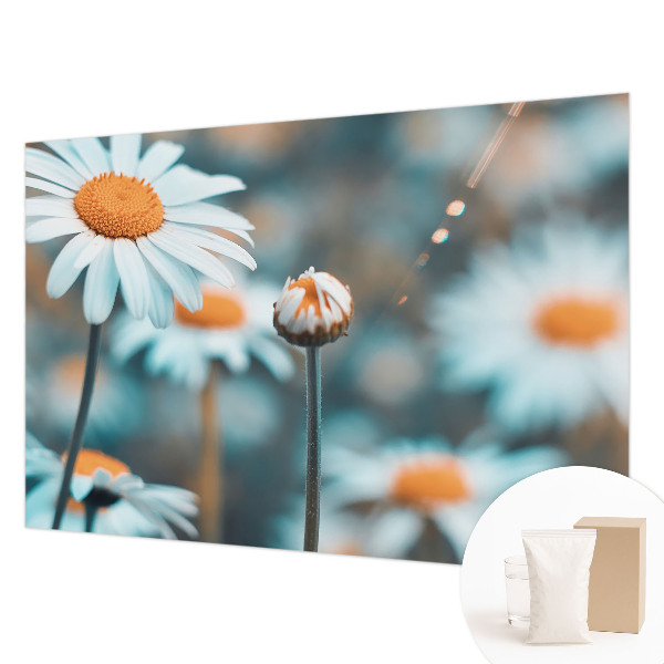 Fototapetas pagal užsakymą Kamille-delikatesė