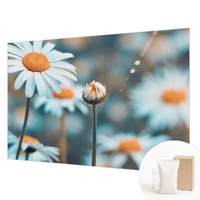 Fototapetas pagal užsakymą Kamille-delikatesė